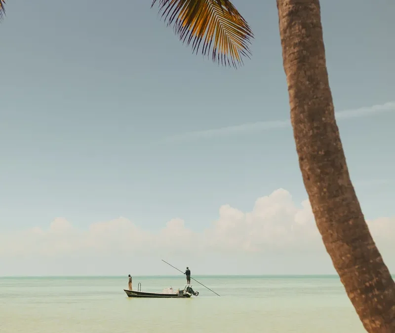 Best Time to Fly Fish in Belize: The Ultimate Guide