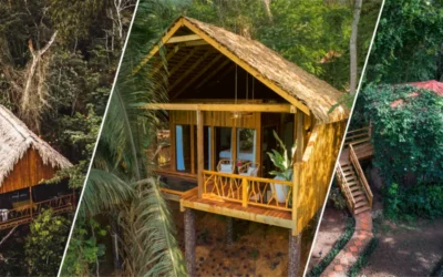 Which Treehouse is for You