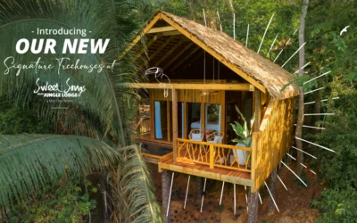 Press Release: New Treehouses at Sweet Songs