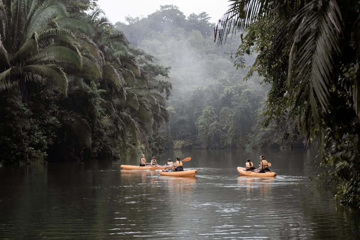Kayak Tour- Beach and Jungle Package