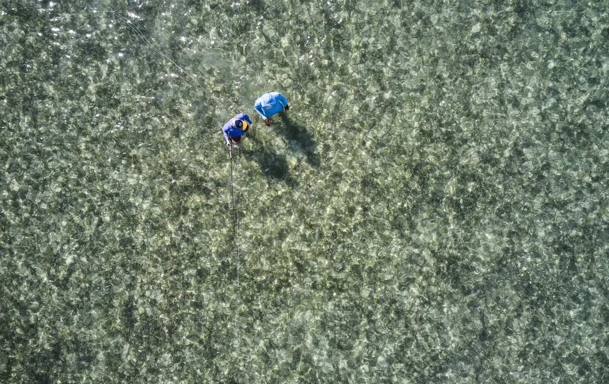 Fly fishing in Belize