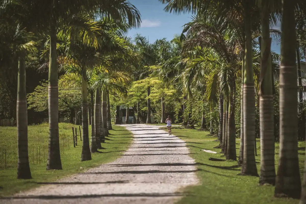 Guest walking the property at Copal Tree Lodge