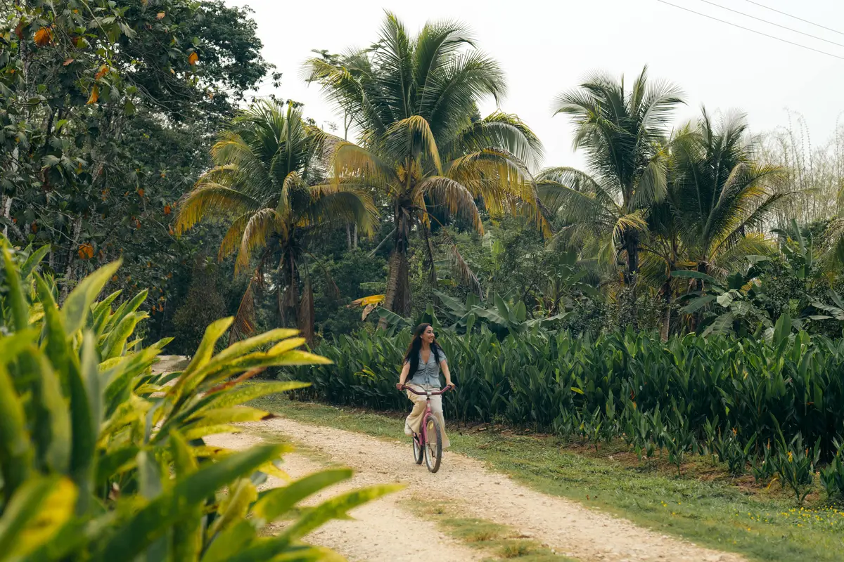 Solo Traveler Biking Through Belize Jungle at Copal Tree Lodge Solo Traveler Biking Through Belize Jungle at Copal Tree Lodge