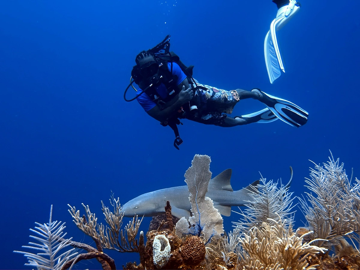 SCUBA Diving the Belize Barrier Reef SCUBA Diving the Belize Barrier Reef