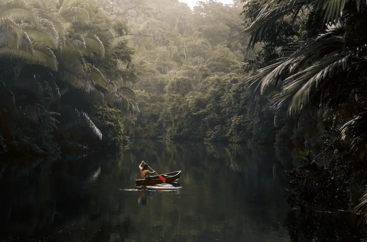 Person paddling a small wooden boat along a calm, reflective river framed by dense tropical jungle vines and trees.