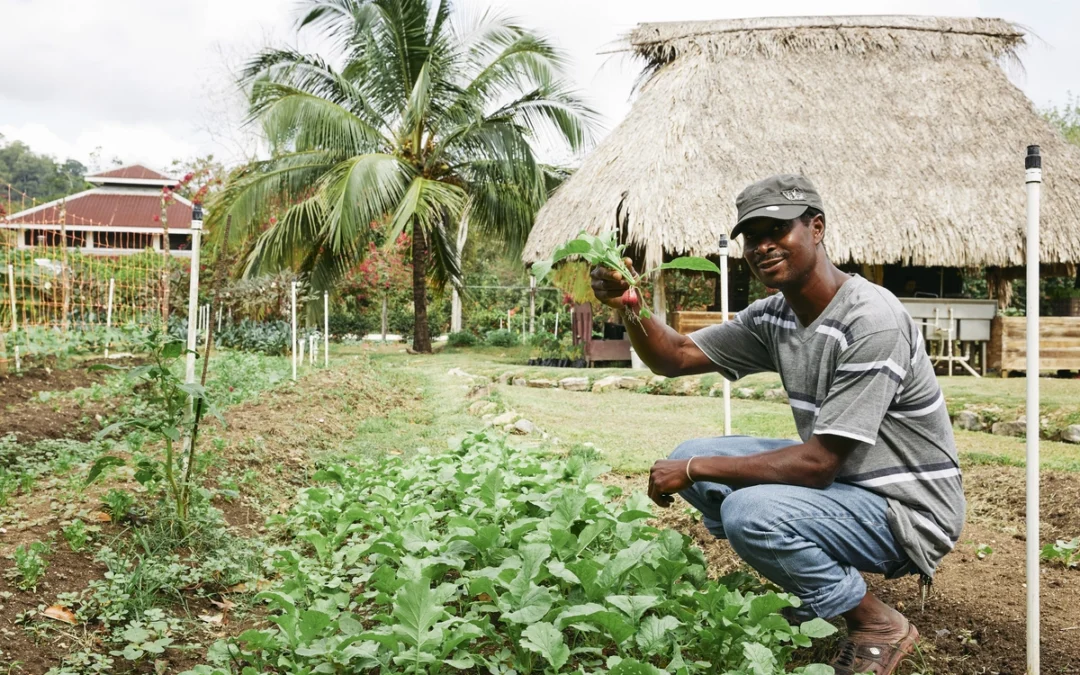 On-site organic farm at Copal Tree Lodge | MuyOno Resorts