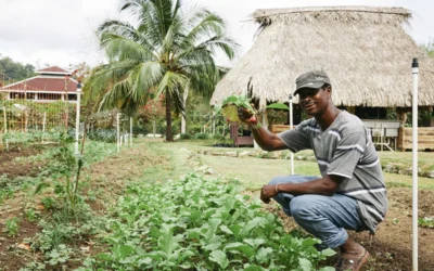 Regenerative Tourism in Belize: Traveling Better with Muy’Ono Resorts