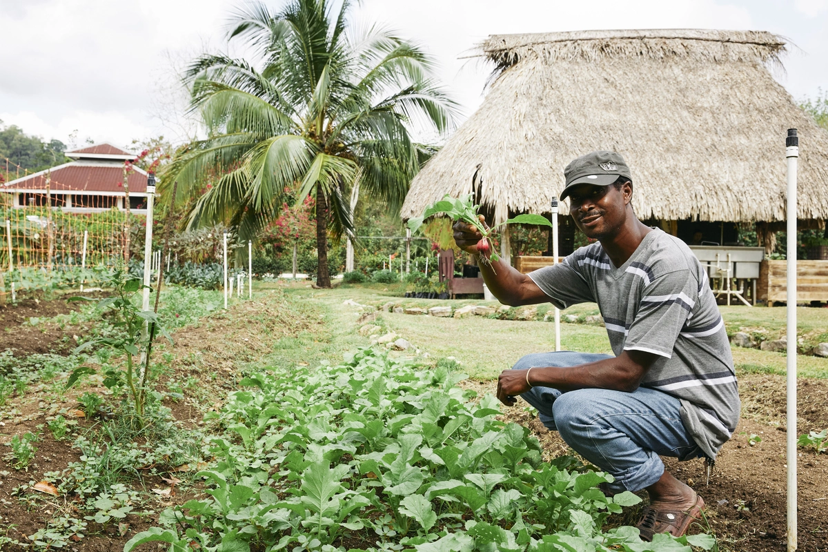 On-site organic farm at Copal Tree Lodge | MuyOno Resorts