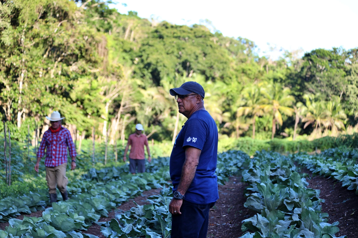 Regenerative Farming in Belize | MuyOno Resorts