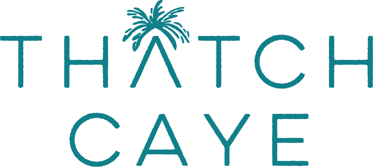 Logo for Thatch Caye in teal, with a palm-tree motif forming the A in THATCH CAYE.