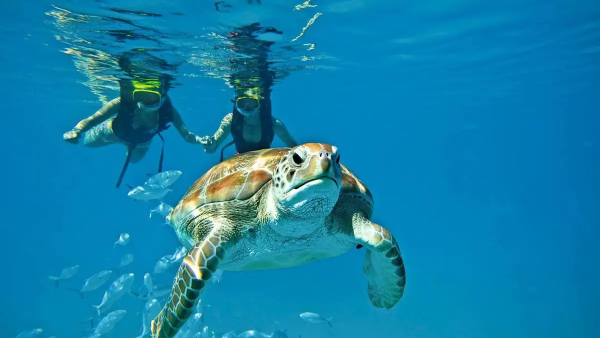 Couples Snorkel Tour In Belize - MuyOno Resorts