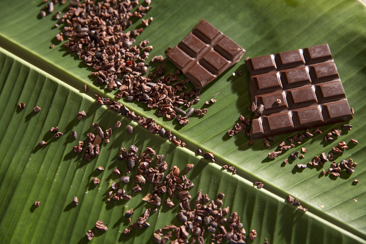 Cacao Bean to Bar Chocolate Making in Belize - MuyOno Resorts